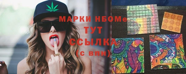apvp Гусев