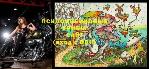 МДПВ Аркадак